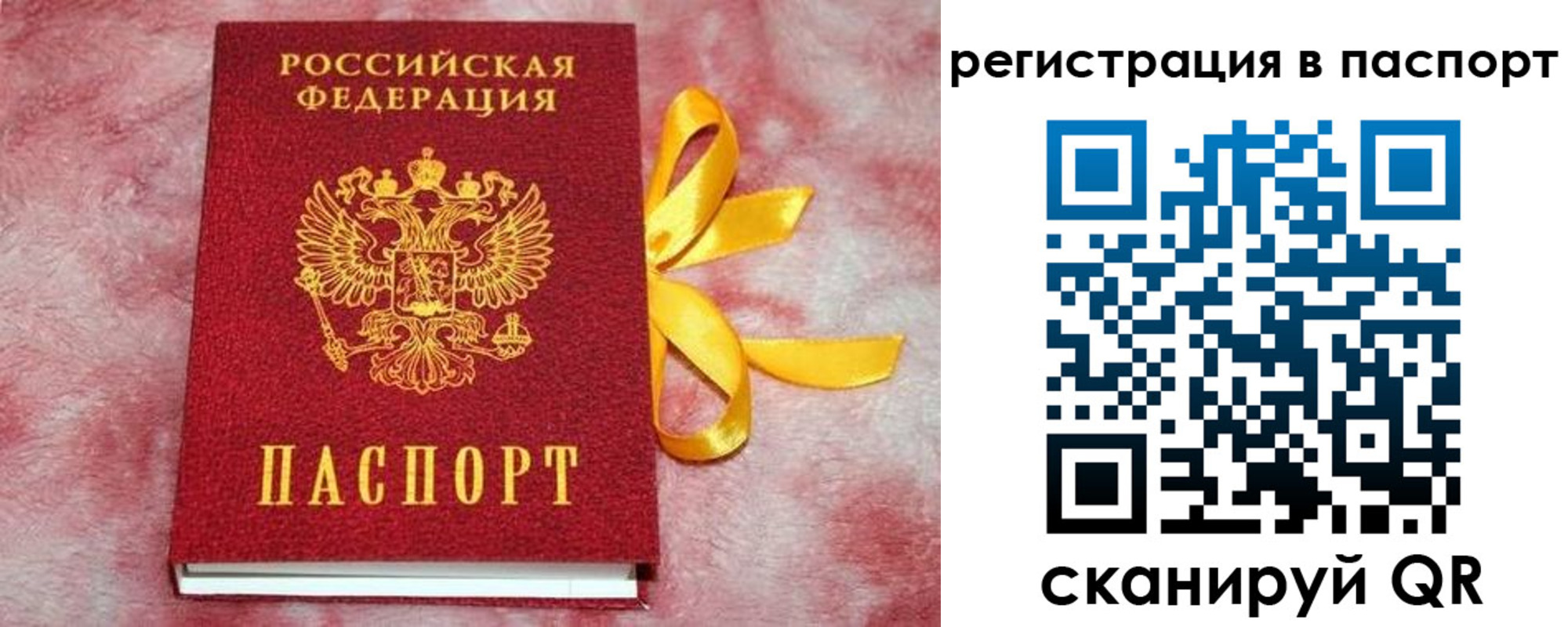 временная регистрация недорого в Курске